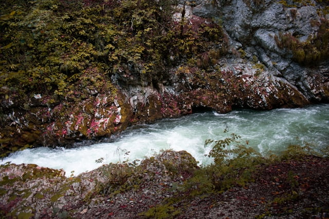 Gorges de Vintgar